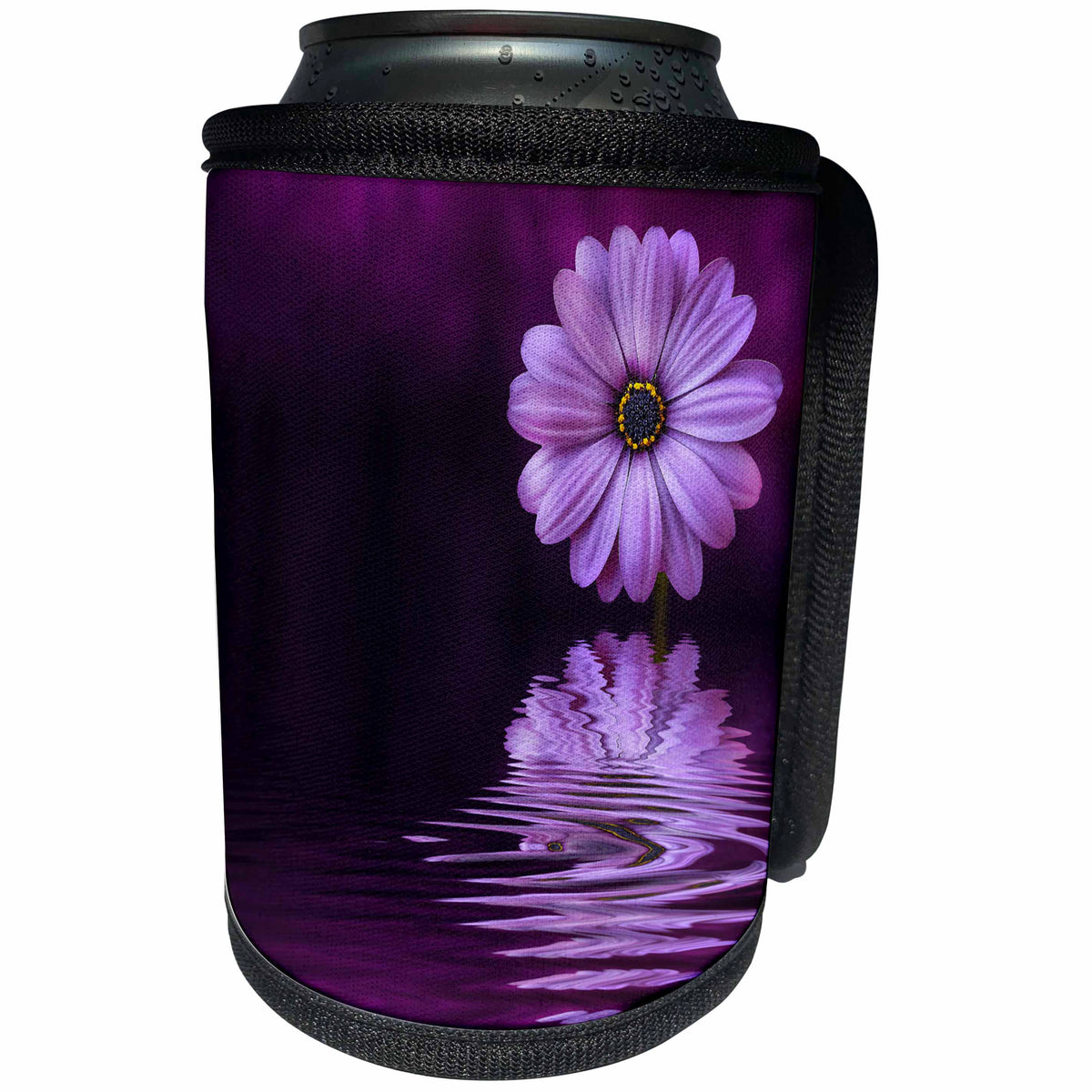 3dRose Andrea Haase Nature Photography - Purple gerbera daisy reflecting in water - Can Cooler Bottle Wrap (cc_263029)