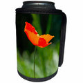 3dRose Uta Naumann Photography Flowers - Single Poppy Blossom in Summer at Backlight Photography - Can Cooler Bottle Wrap (cc_263065)