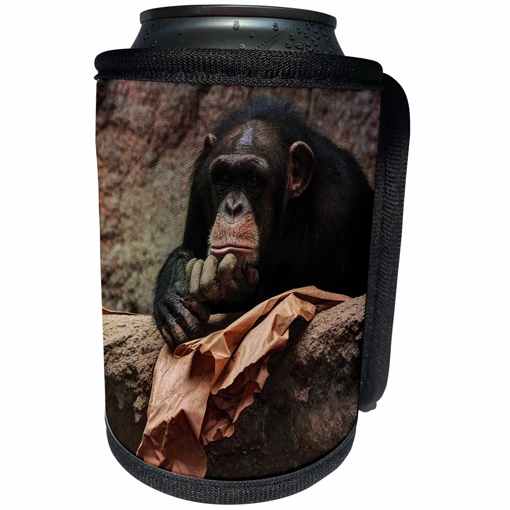 3dRose Uta Naumann Watercolor Illustration Animal - Monkey in Zoo - Animal Photoadaption - Can Cooler Bottle Wrap (cc_263069)