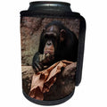 3dRose Uta Naumann Watercolor Illustration Animal - Monkey in Zoo - Animal Photoadaption - Can Cooler Bottle Wrap (cc_263069)