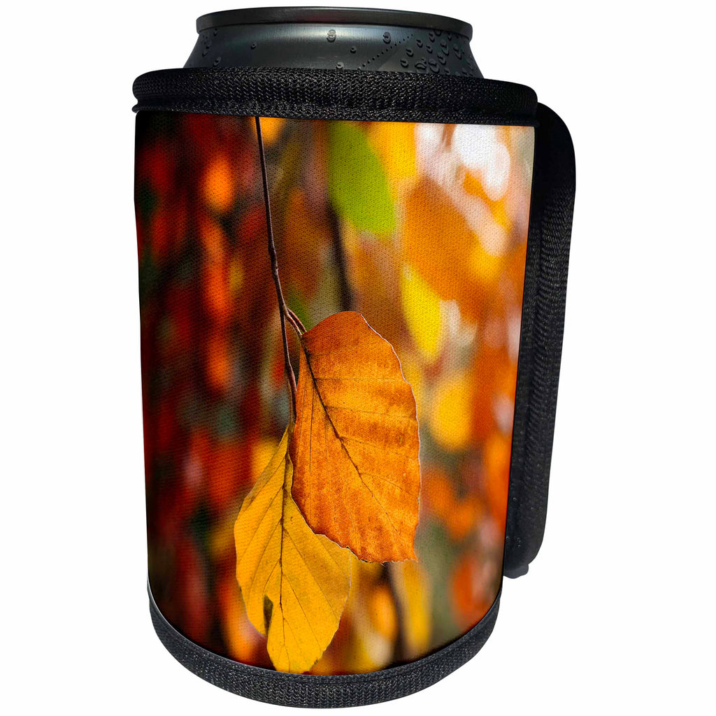 3dRose Uta Naumann Photography Flowers - Romantic Seasonal Gold Autumn Leaves at Backlight - Can Cooler Bottle Wrap (cc_263102)