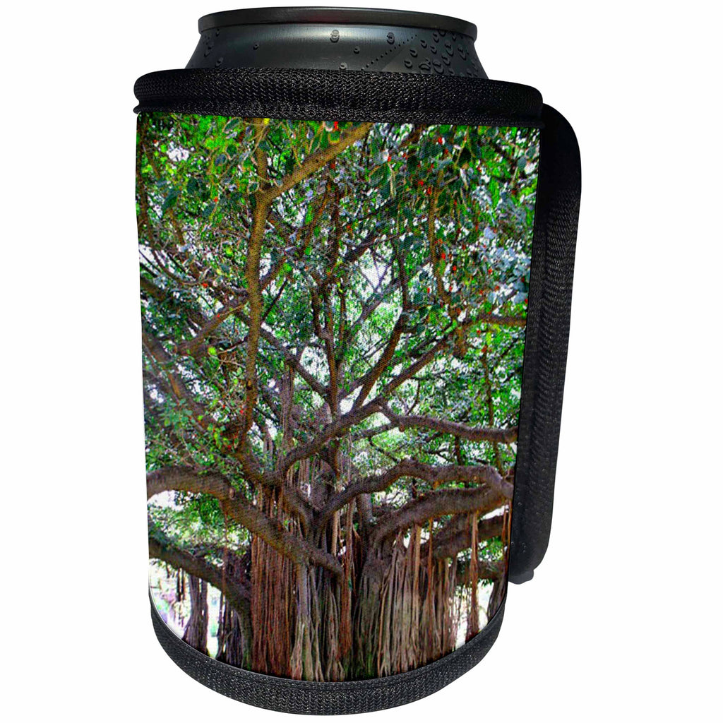 3dRose Sandy Mertens Hawaii Travel Designs - Tree Outside Zoo Kapiolani Park Honolulu - Can Cooler Bottle Wrap (cc_26337)