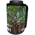 3dRose Sandy Mertens Hawaii Travel Designs - Tree Outside Zoo Kapiolani Park Honolulu - Can Cooler Bottle Wrap (cc_26337)