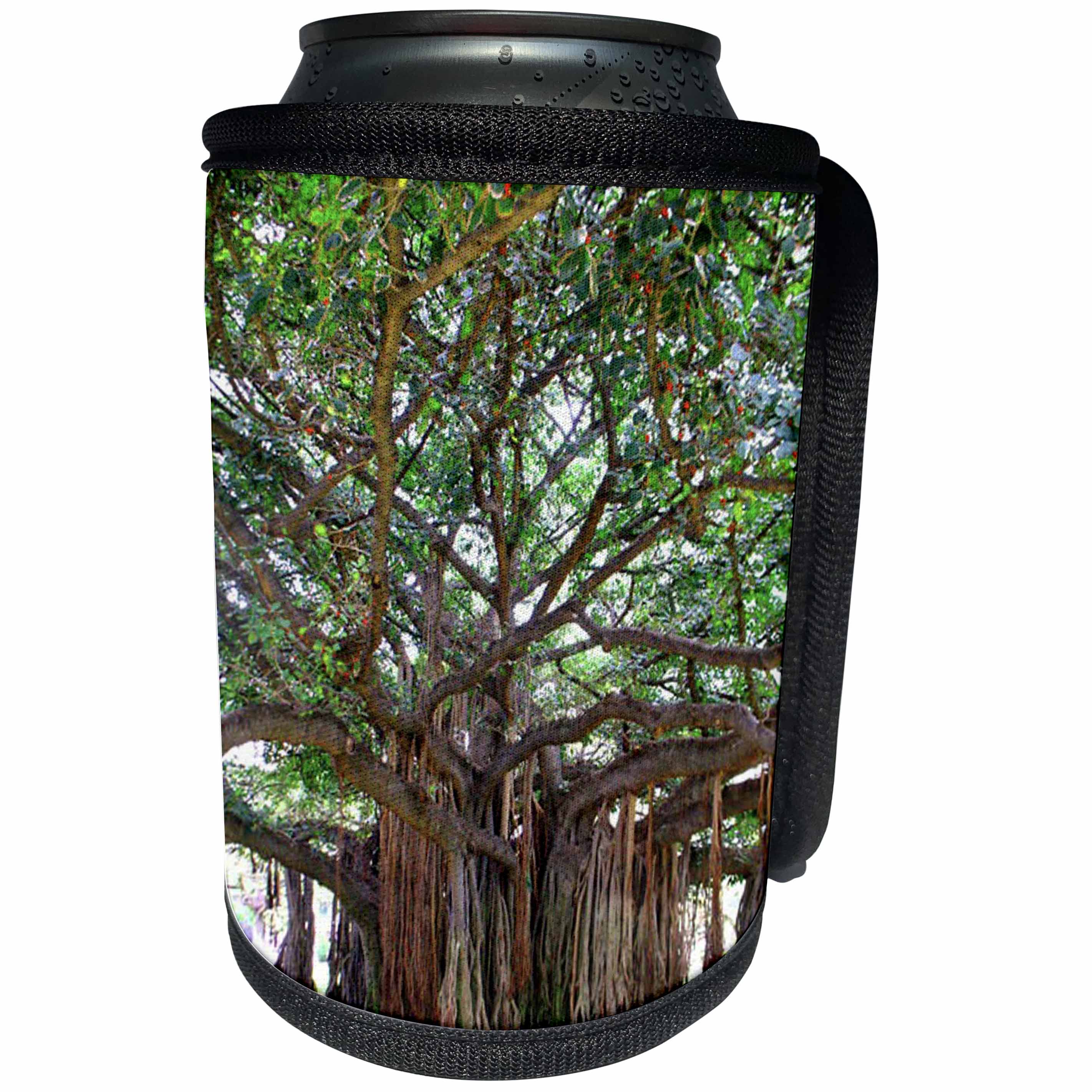 3dRose Sandy Mertens Hawaii Travel Designs - Tree Outside Zoo Kapiolani Park Honolulu - Can Cooler Bottle Wrap (cc_26337)