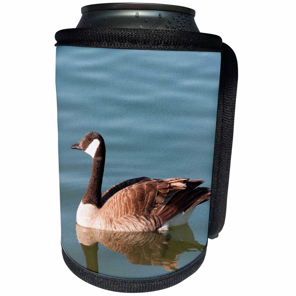 3dRose Jos Fauxtographee- Duck on Water - A duck swimming on a pond in Wrest Valley City Utah - Can Cooler Bottle Wrap (cc_263395)