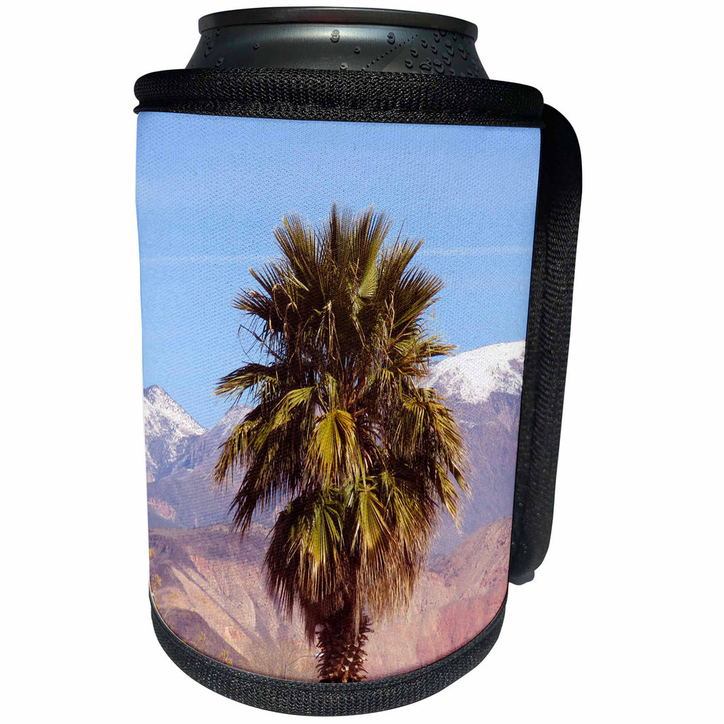 3dRose Jos Fauxtographee- Palm Tree with Snow in back - A palm tree on green springs drive in Washington Utah with snow - Can Cooler Bottle Wrap (cc_263404)