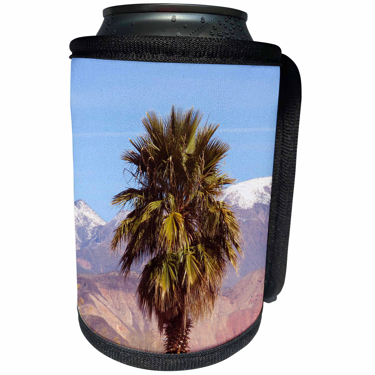 3dRose Jos Fauxtographee- Palm Tree with Snow in back - A palm tree on green springs drive in Washington Utah with snow - Can Cooler Bottle Wrap (cc_263404)