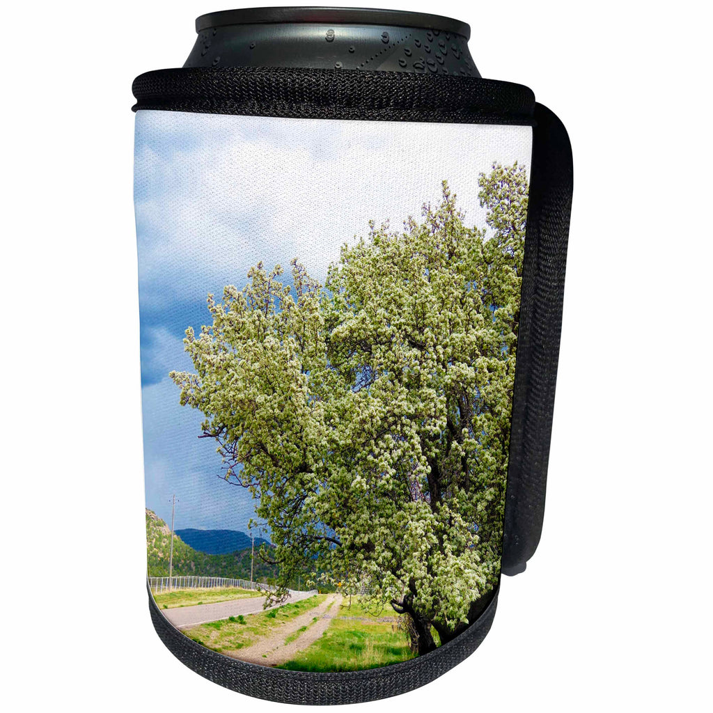 3dRose Jos Fauxtographee- Central Spring Tree - Some trees on property in Central Utah with white blossoms - Can Cooler Bottle Wrap (cc_263414)