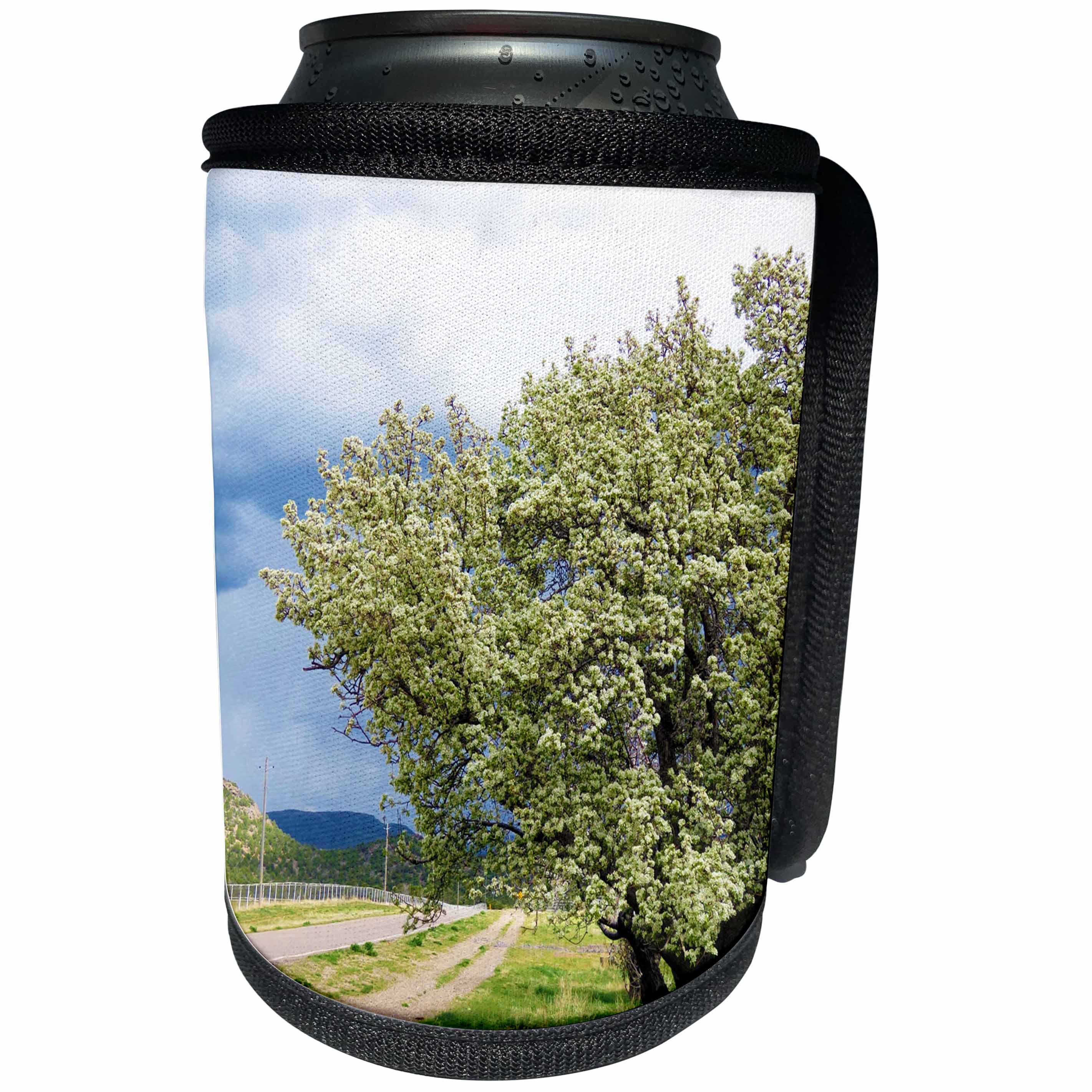 3dRose Jos Fauxtographee- Central Spring Tree - Some trees on property in Central Utah with white blossoms - Can Cooler Bottle Wrap (cc_263414)