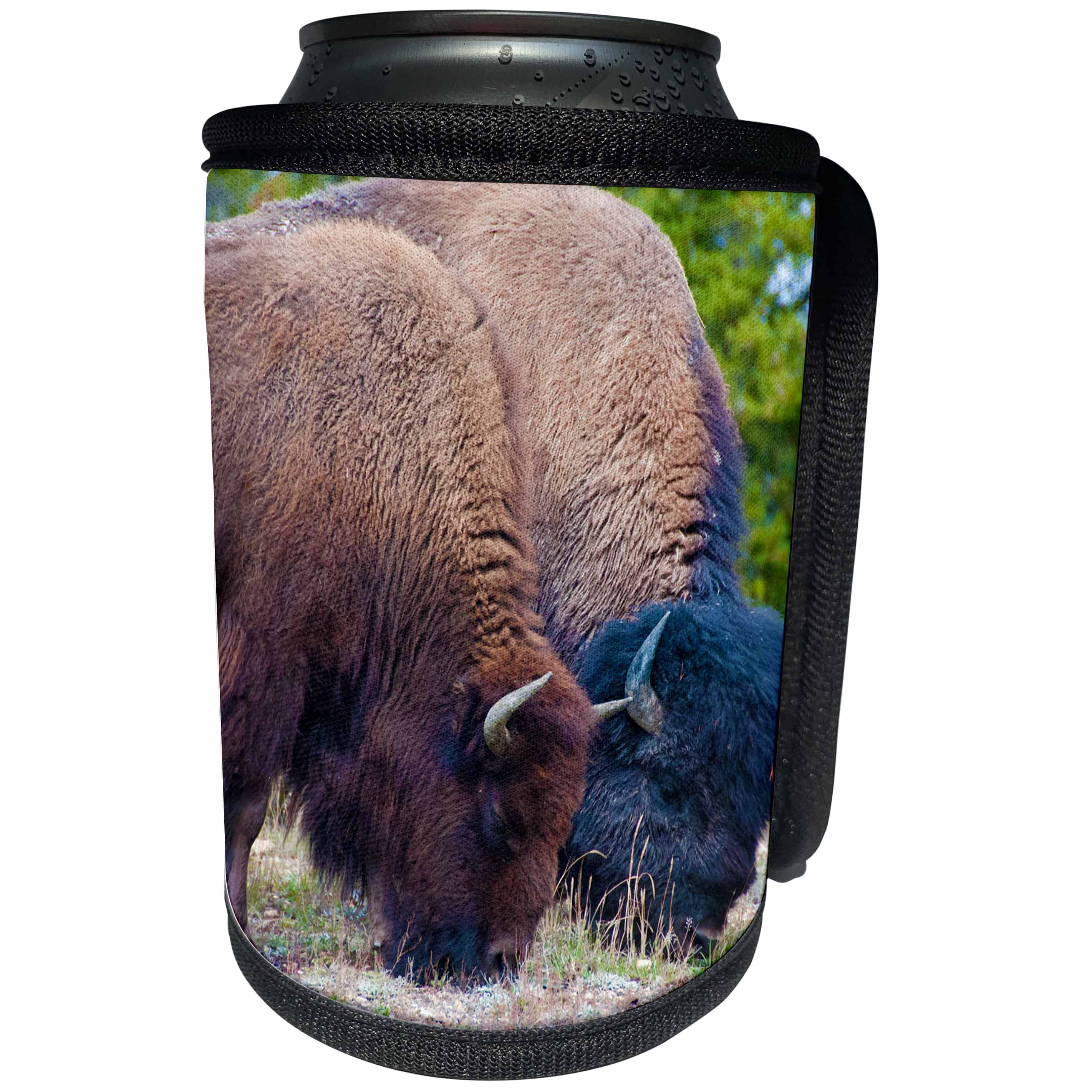 3dRose Jos Fauxtographee- Bison Black and Brown - Two Bison grazing on grass in Yellowstone one tan and black - Can Cooler Bottle Wrap (cc_263423)