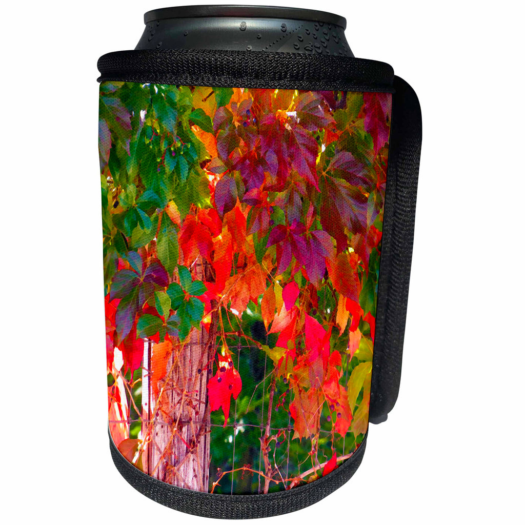 3dRose Jos Fauxtographee- Fall Foliage - An accented edge of some fall foliage on a creeping vine - Can Cooler Bottle Wrap (cc_263445)