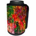 3dRose Jos Fauxtographee- Fall Foliage - An accented edge of some fall foliage on a creeping vine - Can Cooler Bottle Wrap (cc_263445)