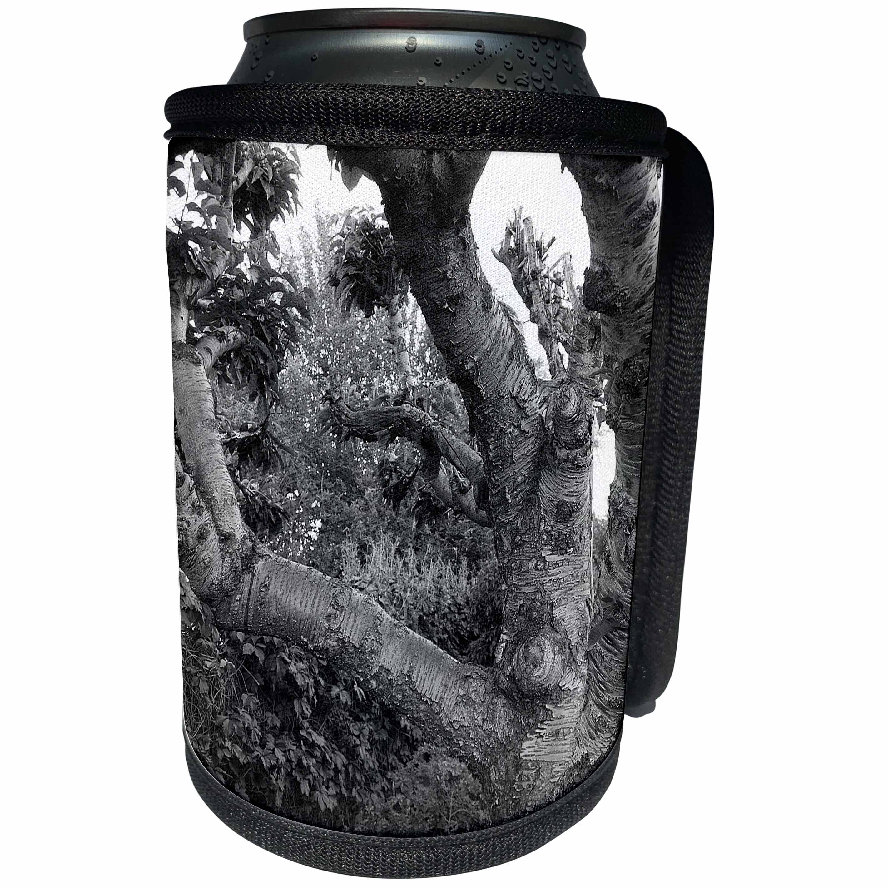 3dRose Jos Fauxtographee- Old Black and White Tree - An old ornamental Tree in the Yard of Violet Averett - Can Cooler Bottle Wrap (cc_263449)