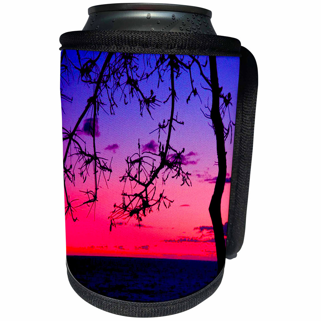 3dRose Sandy Mertens Hawaii Travel Designs - Maui Sunset - Can Cooler Bottle Wrap (cc_26350)
