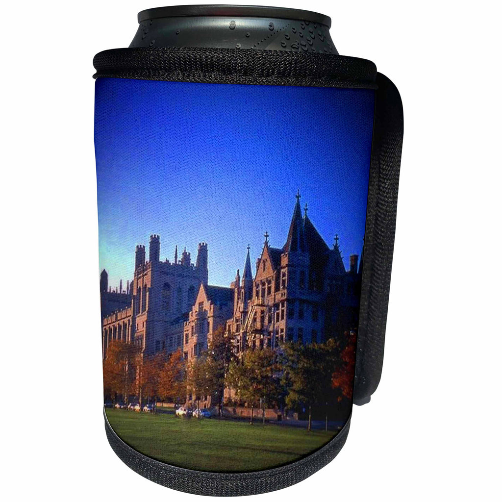 3dRose Sandy Mertens Illinois - University of Chicago - Can Cooler Bottle Wrap (cc_26371)