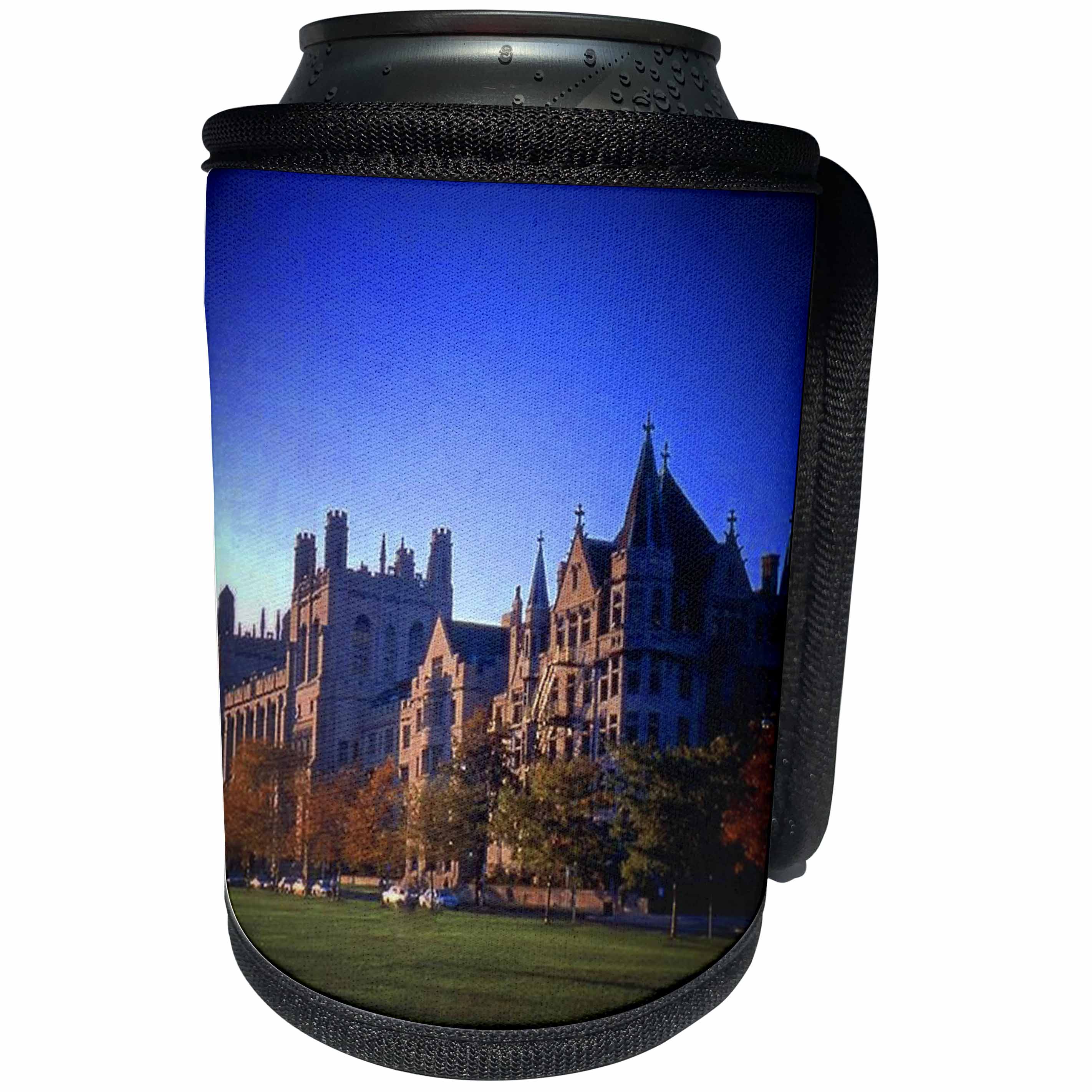 3dRose Sandy Mertens Illinois - University of Chicago - Can Cooler Bottle Wrap (cc_26371)