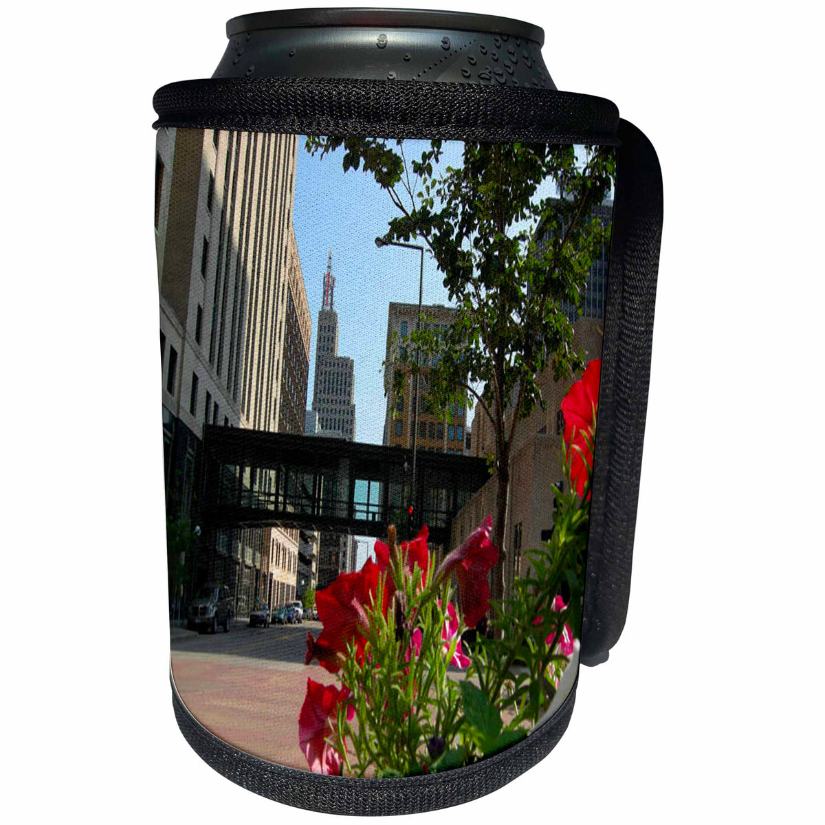 3dRose Sandy Mertens Minnesota - St Paul - Can Cooler Bottle Wrap (cc_26380)