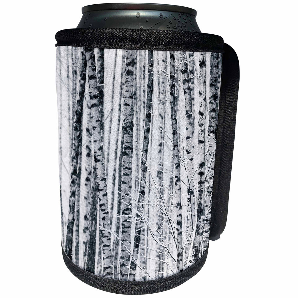 3dRose Alexis Photography - Christmas - Snowfall. Birch grove in winter. White Christmas - Can Cooler Bottle Wrap (cc_264100)