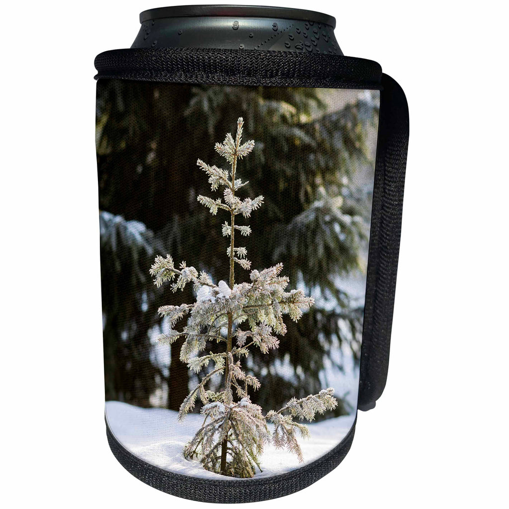 3dRose Alexis Photography - Winter - Small spruce tree in a snow covered forest. Sunny winter day - Can Cooler Bottle Wrap (cc_264108)