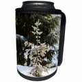 3dRose Alexis Photography - Winter - Small spruce tree in a snow covered forest. Sunny winter day - Can Cooler Bottle Wrap (cc_264108)