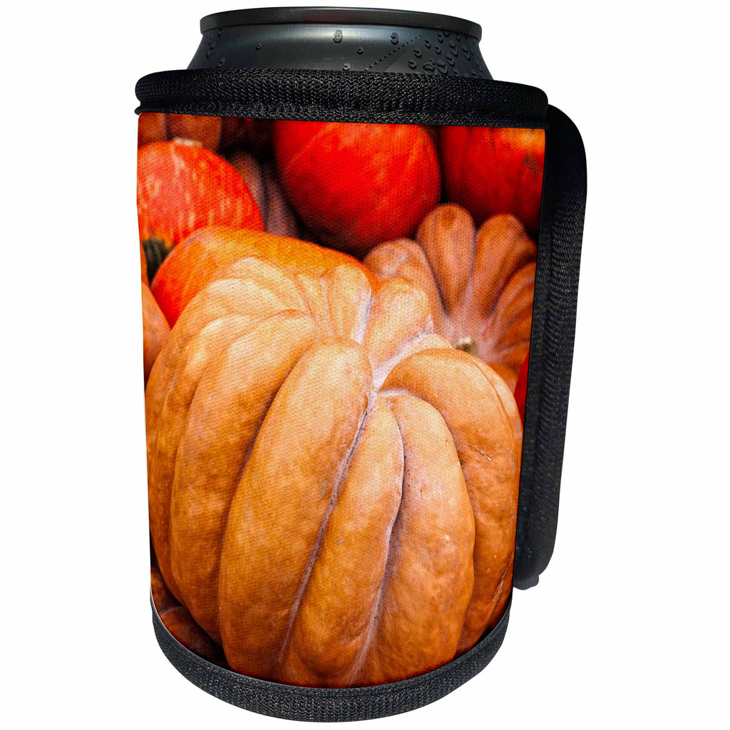 3dRose Alexis Photography - Thanksgiving - Pile of pumpkins of orange colors - Can Cooler Bottle Wrap (cc_264120)