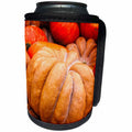 3dRose Alexis Photography - Thanksgiving - Pile of pumpkins of orange colors - Can Cooler Bottle Wrap (cc_264120)