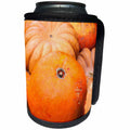 3dRose Alexis Photography - Thanksgiving - Round orange pumpkin. Thanksgiving autumn theme - Can Cooler Bottle Wrap (cc_264121)