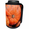3dRose Alexis Photography - Thanksgiving - Grunge round orange pumpkins for sale - Can Cooler Bottle Wrap (cc_264123)