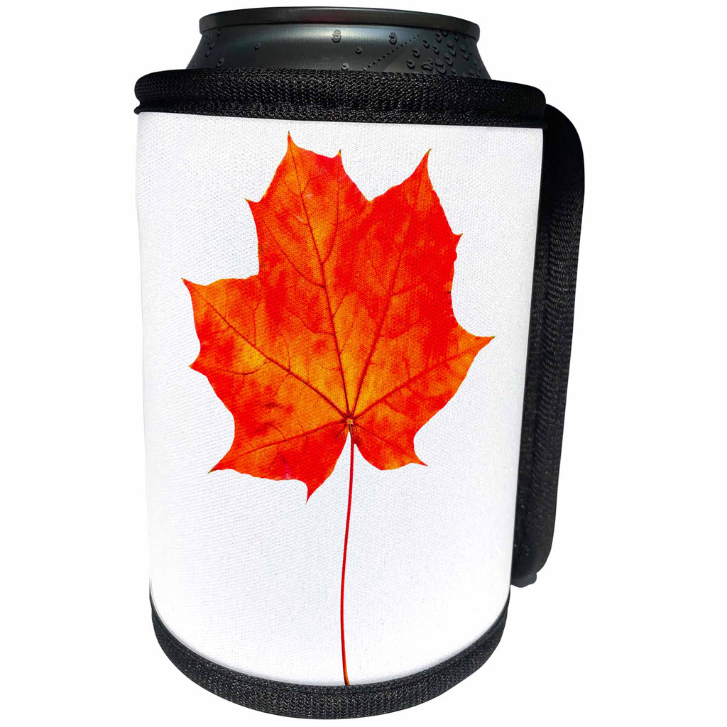 3dRose Alexis Design - Floral - Red maple leaf transparent background - Can Cooler Bottle Wrap (cc_264133)