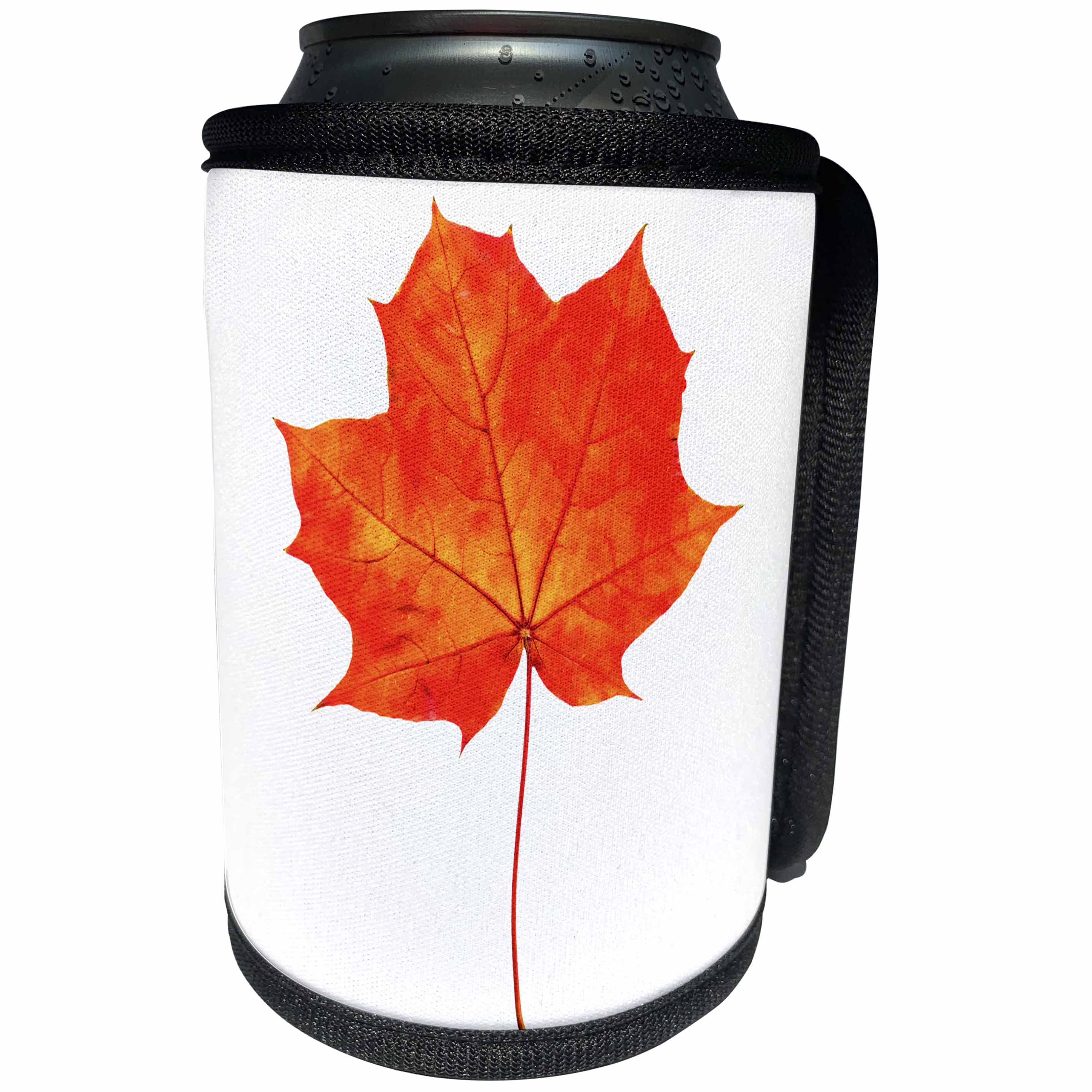 3dRose Alexis Design - Floral - Red maple leaf transparent background - Can Cooler Bottle Wrap (cc_264133)