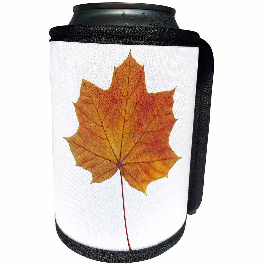 3dRose Alexis Design - Floral - Brown maple leaf, red fibers, transparent background - Can Cooler Bottle Wrap (cc_264134)