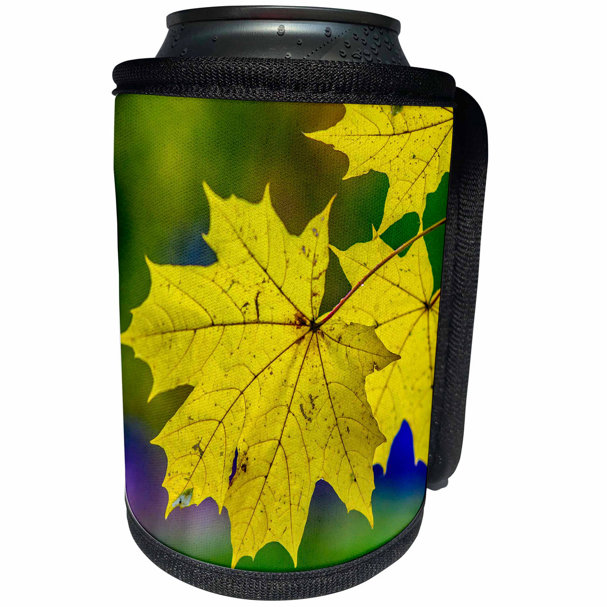 3dRose Alexis Photography - Autumn - Yellow maple leaf on a rainy autumn day - Can Cooler Bottle Wrap (cc_264148)
