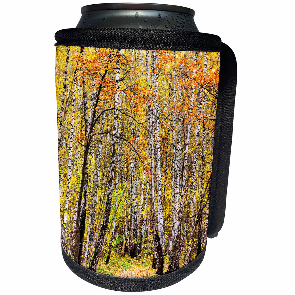 3dRose Alexis Photography - Autumn - Birch and oak trees in an fall forest. Golden autumn season - Can Cooler Bottle Wrap (cc_264150)