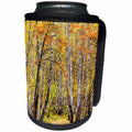 3dRose Alexis Photography - Autumn - Birch and oak trees in an fall forest. Golden autumn season - Can Cooler Bottle Wrap (cc_264150)
