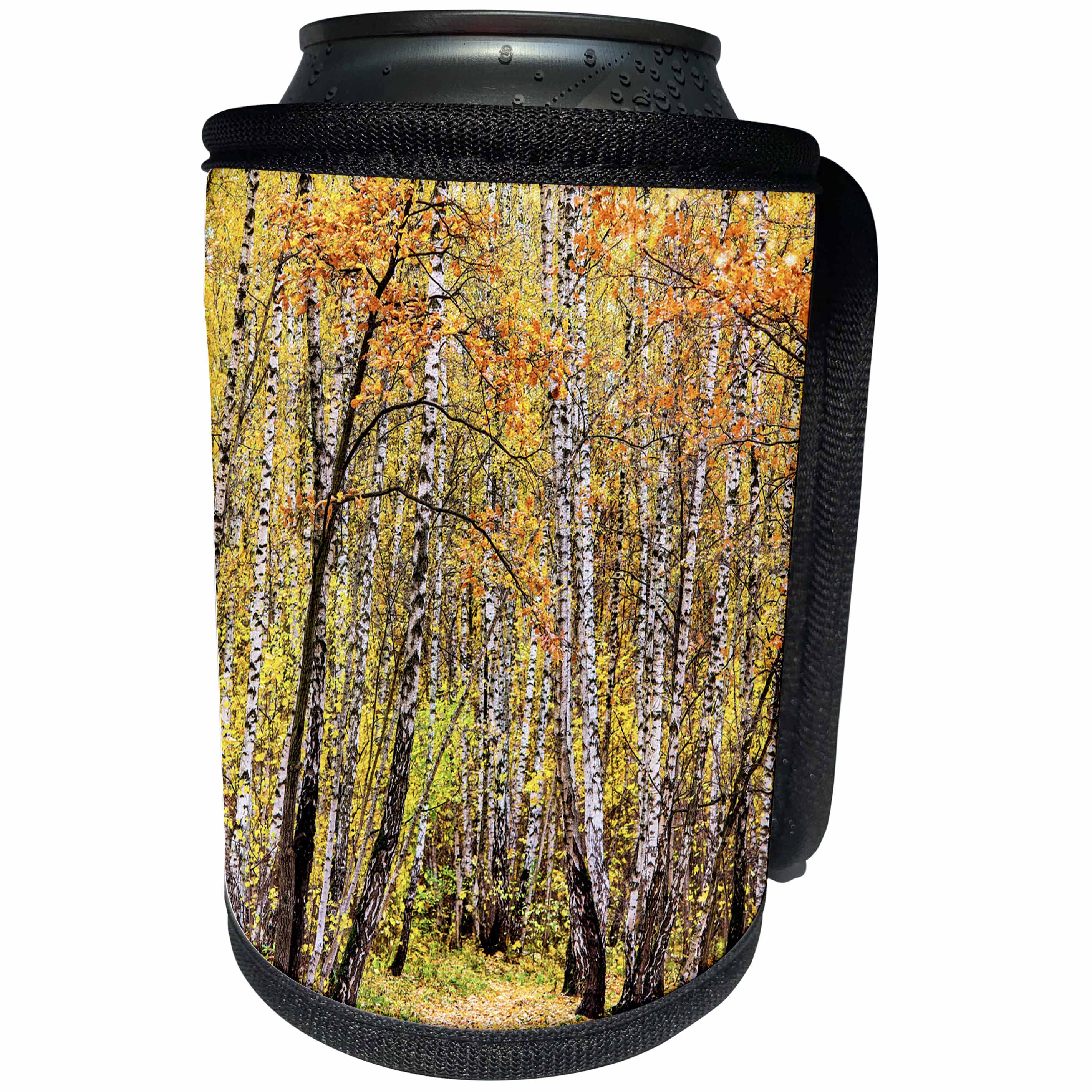 3dRose Alexis Photography - Autumn - Birch and oak trees in an fall forest. Golden autumn season - Can Cooler Bottle Wrap (cc_264150)