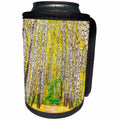 3dRose Alexis Photography - Autumn - Green bench in a birch grove in autumn. Golden autumn season - Can Cooler Bottle Wrap (cc_264151)