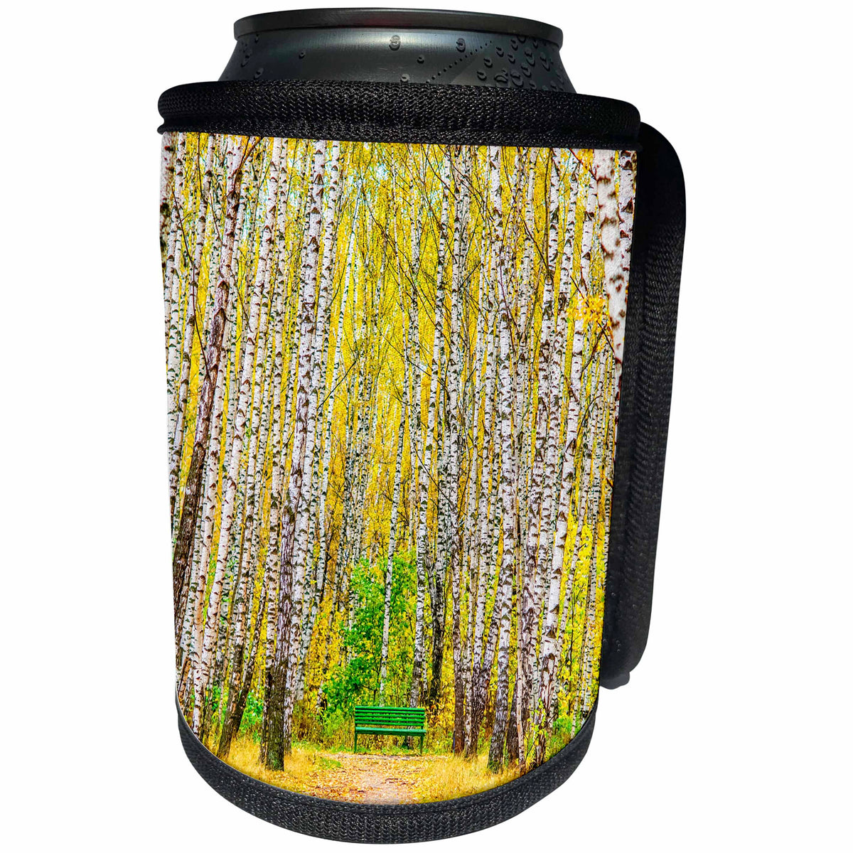 3dRose Alexis Photography - Autumn - Green bench in a birch grove in autumn. Golden autumn season - Can Cooler Bottle Wrap (cc_264151)