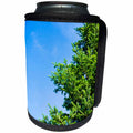 3dRose Alexis Photography - Winter - Bright green spruce tree branches, blue sky - Can Cooler Bottle Wrap (cc_264155)