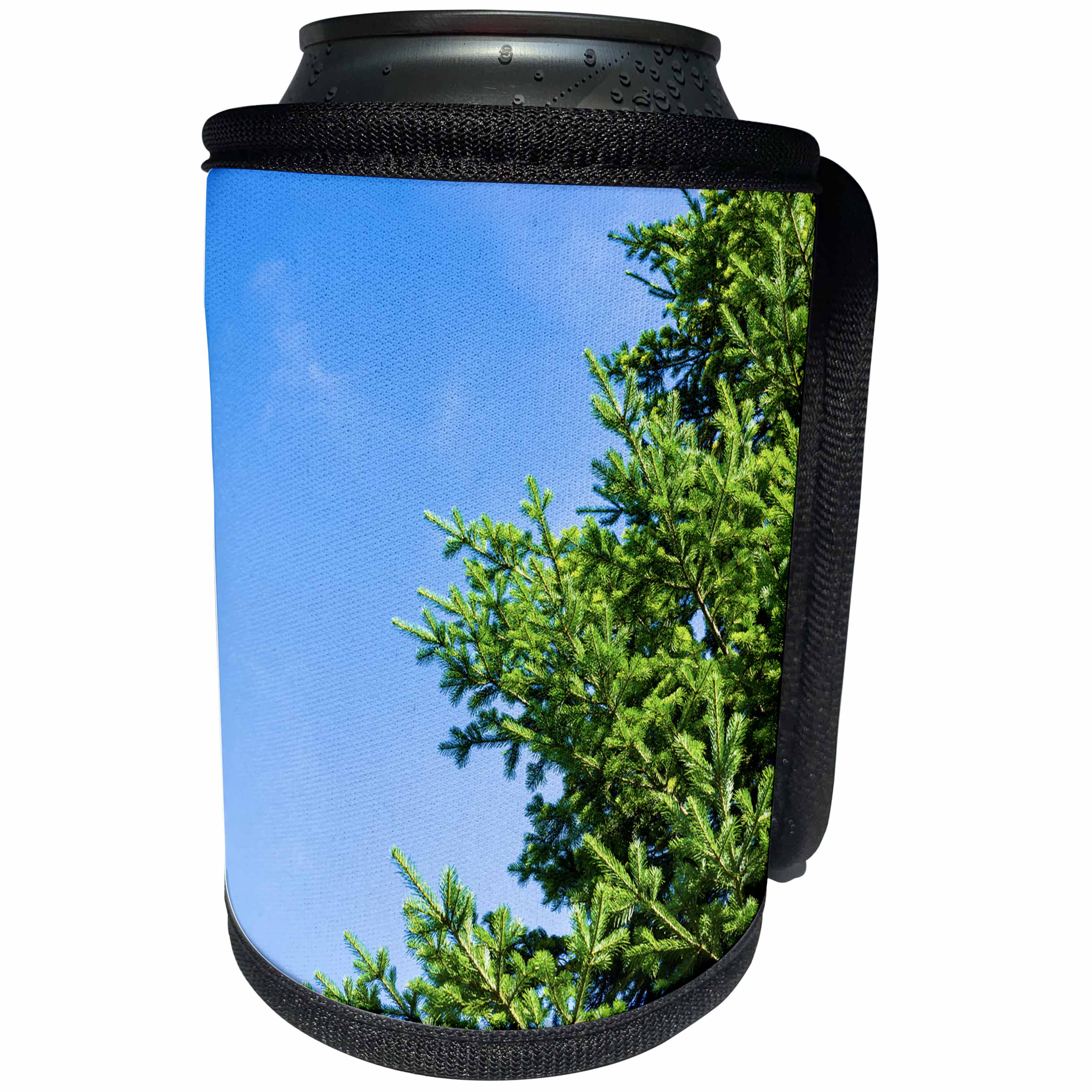 3dRose Alexis Photography - Winter - Bright green spruce tree branches, blue sky - Can Cooler Bottle Wrap (cc_264155)