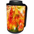 3dRose Alexis Photography - Autumn - Orange and yellow maple leaves on a tree. Bright autumn scene - Can Cooler Bottle Wrap (cc_264171)