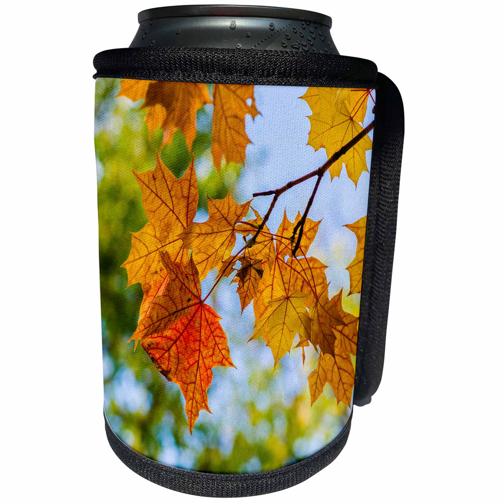 3dRose Alexis Photography - Autumn - Brown and orange maple leaves. Autumn scene - Can Cooler Bottle Wrap (cc_264172)