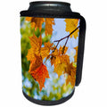 3dRose Alexis Photography - Autumn - Brown and orange maple leaves. Autumn scene - Can Cooler Bottle Wrap (cc_264172)