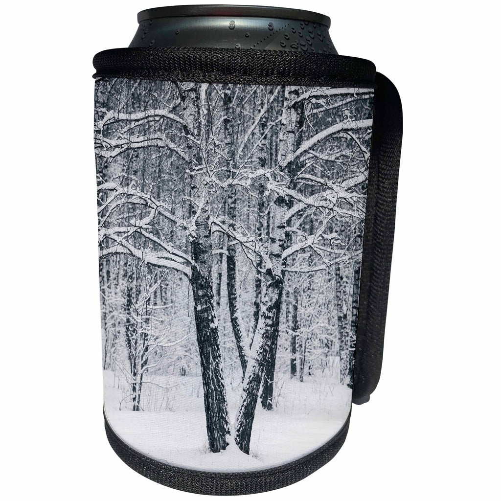 3dRose Alexis Photography - Winter - Two birch trees in a winter forest. Black and white - Can Cooler Bottle Wrap (cc_264174)