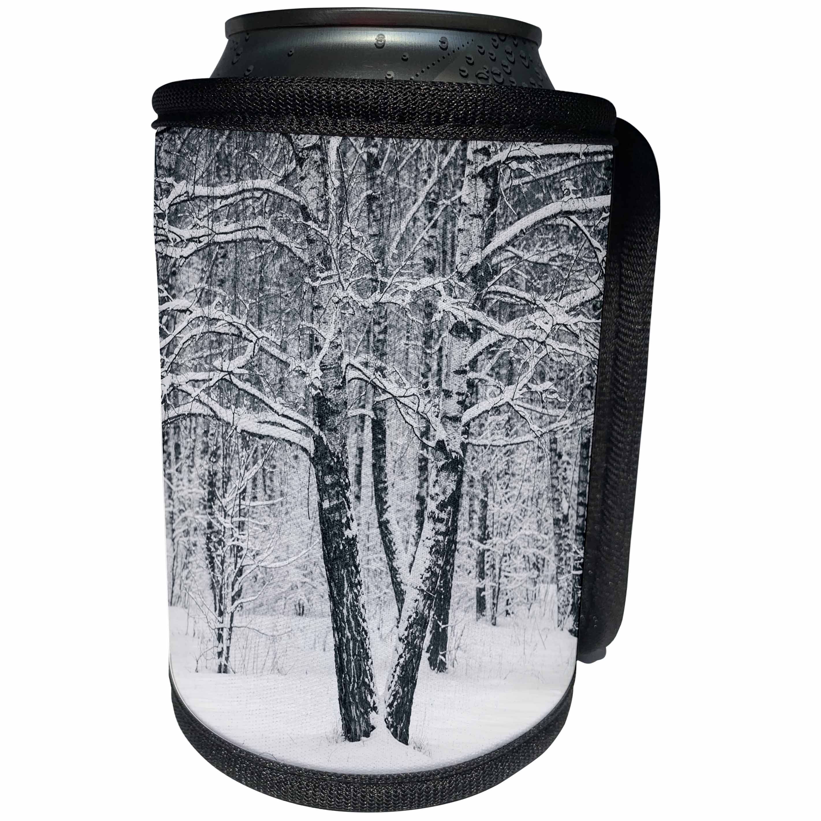 3dRose Alexis Photography - Winter - Two birch trees in a winter forest. Black and white - Can Cooler Bottle Wrap (cc_264174)
