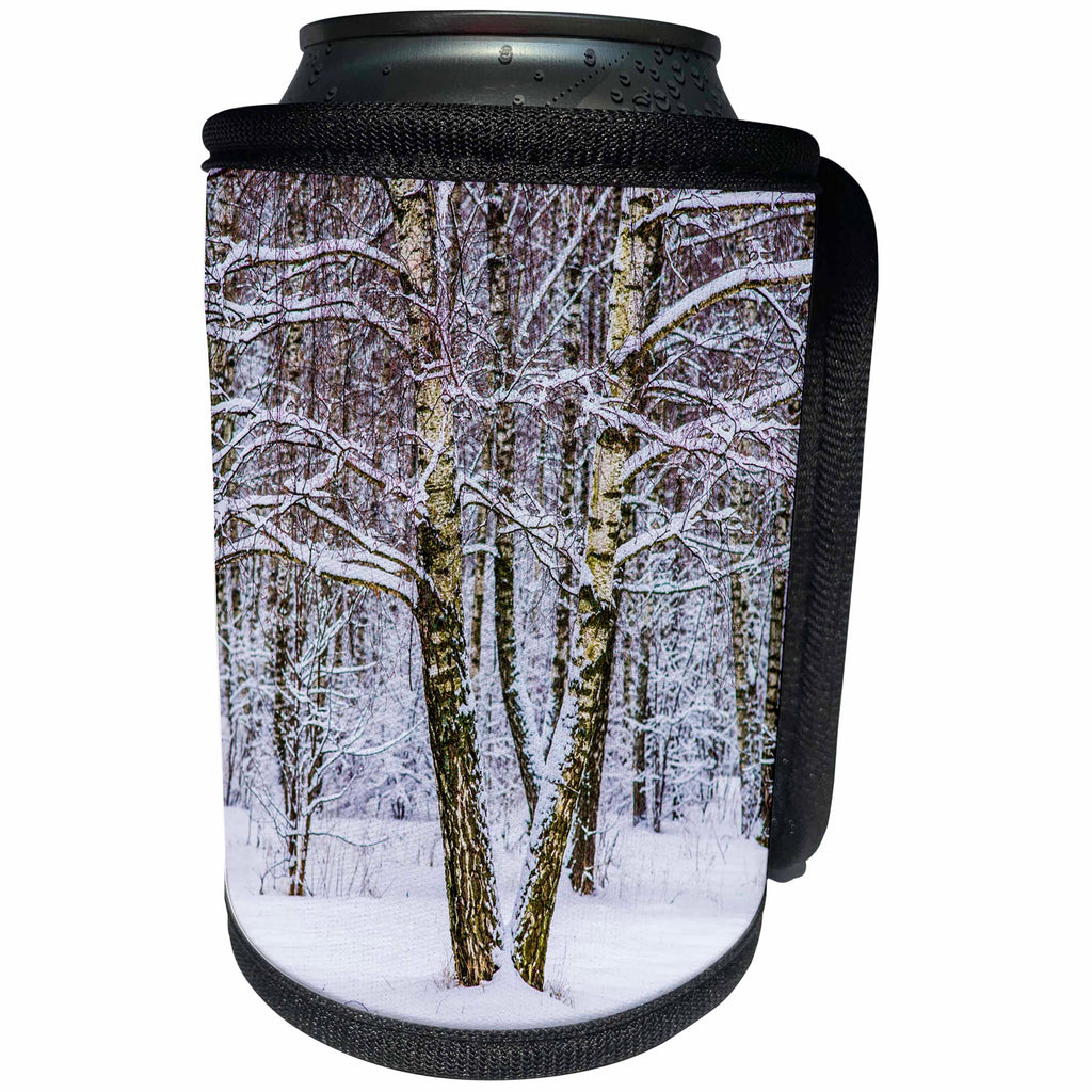 3dRose Alexis Photography - Winter - Two birch trees in a winter forest. Color - Can Cooler Bottle Wrap (cc_264175)