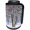 3dRose Alexis Photography - Winter - Two birch trees in a winter forest. Color - Can Cooler Bottle Wrap (cc_264175)