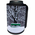 3dRose Alexis Photography - Winter - Green bench under an oak tree. Snow - Can Cooler Bottle Wrap (cc_264176)