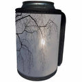 3dRose Alexis Photography - Winter - Birch tree branches. Winter sun - Can Cooler Bottle Wrap (cc_264178)