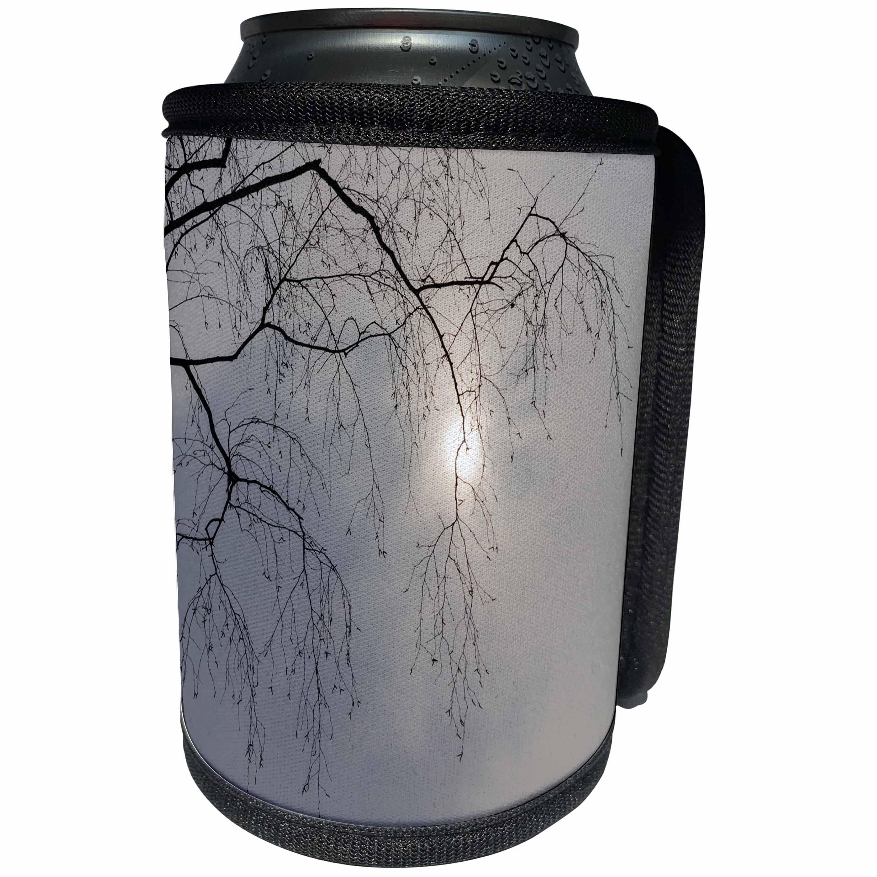 3dRose Alexis Photography - Winter - Birch tree branches. Winter sun - Can Cooler Bottle Wrap (cc_264178)