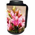 3dRose Alexis Photography - Flowers - Pink lily flowers - Can Cooler Bottle Wrap (cc_264185)
